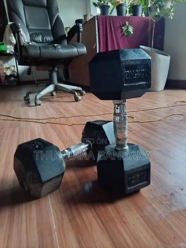12.5kg Dumbbell