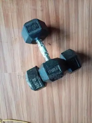 12.5kg Dumbbell