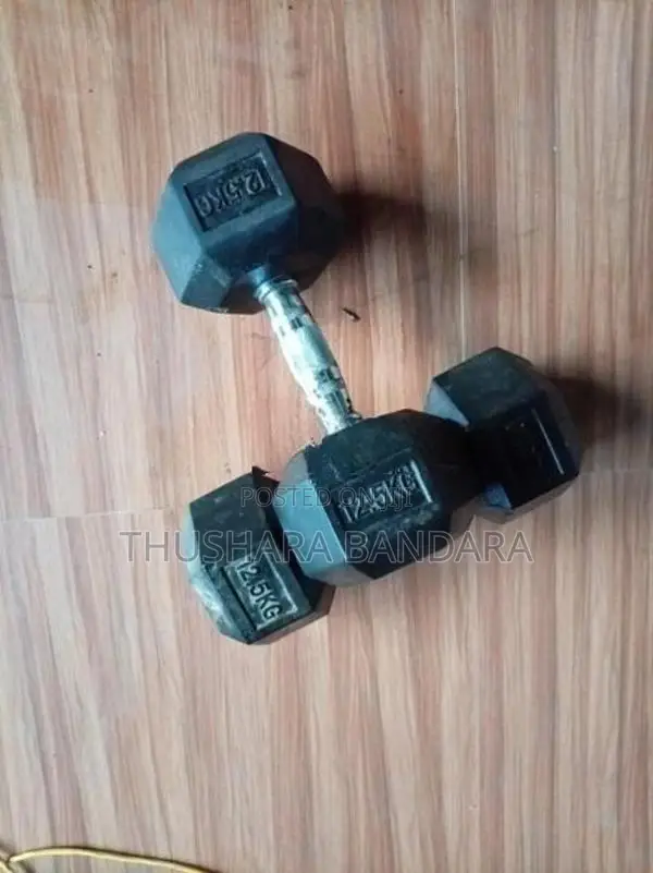 12.5kg Dumbbell