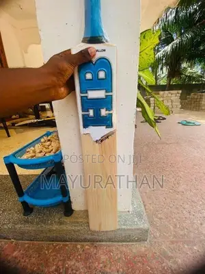 Leather Bats