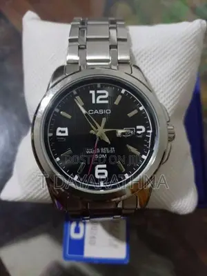 Casio Watch