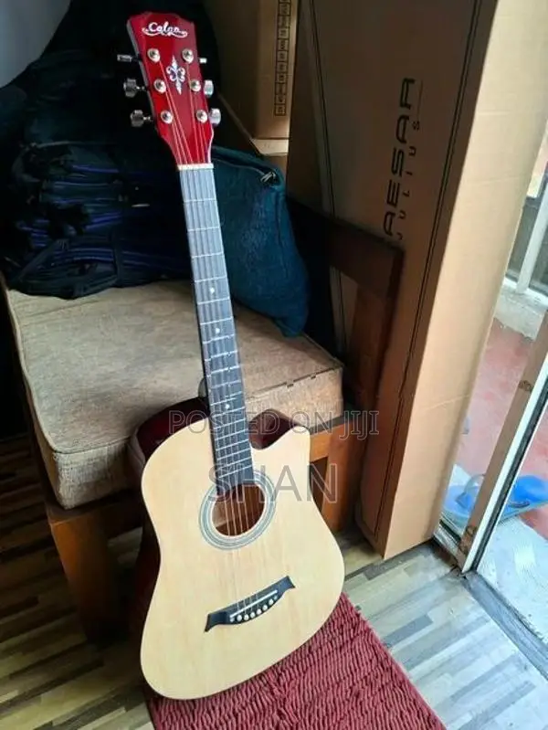 Brand New Acoustic Guitar