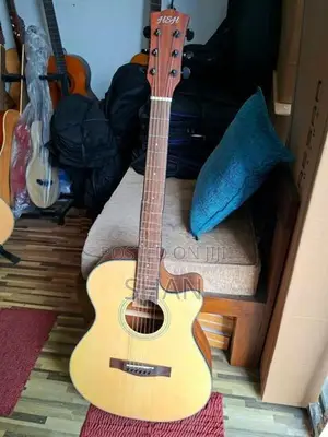 HSH Acoustic Guitar