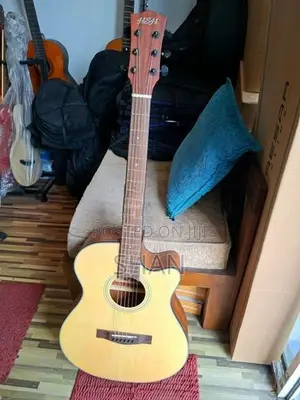 HSH Acoustic Guitar