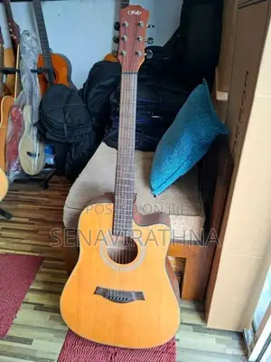 Wellgo Acoustic Guitar