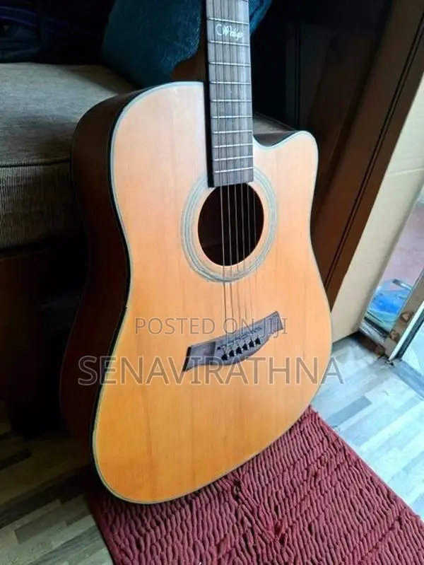 Wellgo Acoustic Guitar