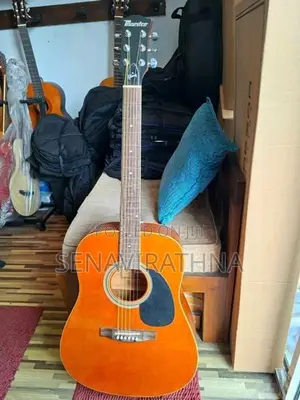 Maestro By Gibson Acoustic Guitar