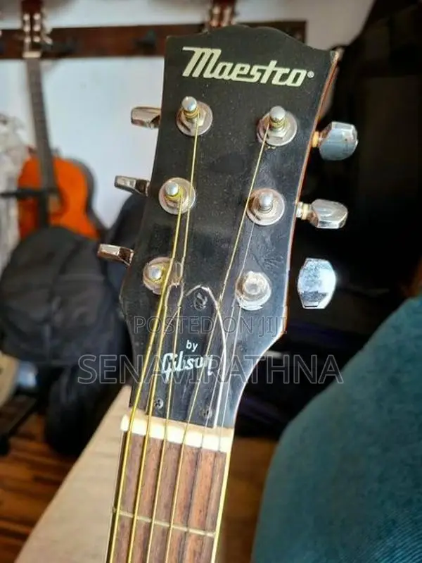 Maestro By Gibson Acoustic Guitar