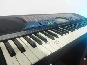 Casio ctk495