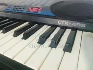 Casio ctk495