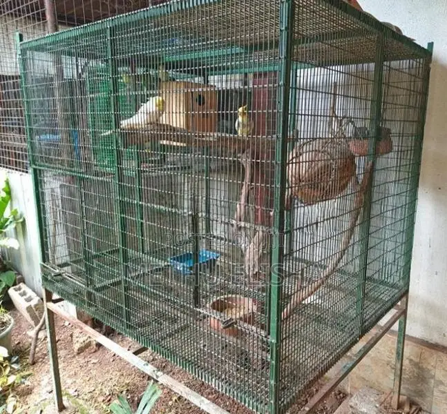 Zoo Net Cage