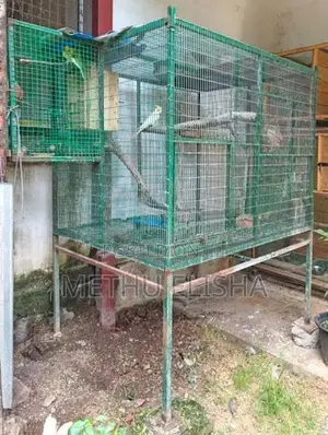 Zoo Net Cage