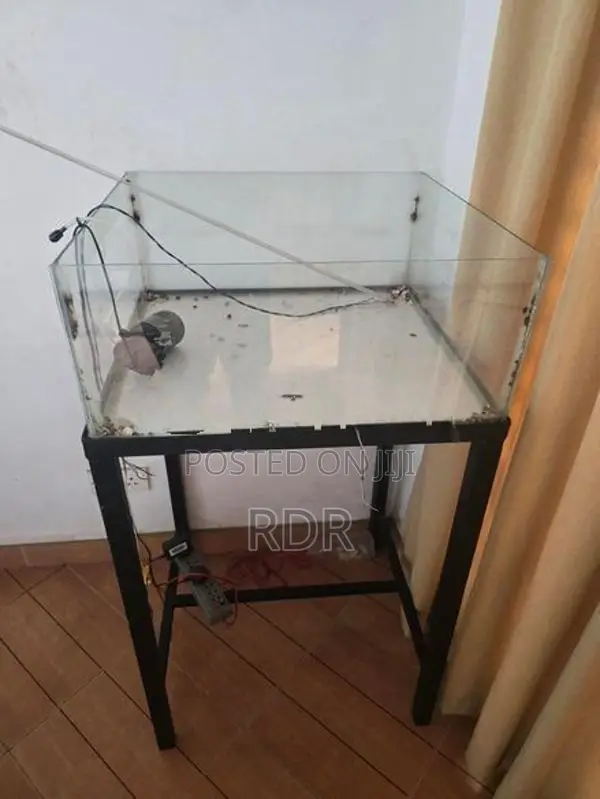 Fish Tank