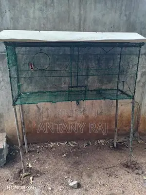 Birds Cage