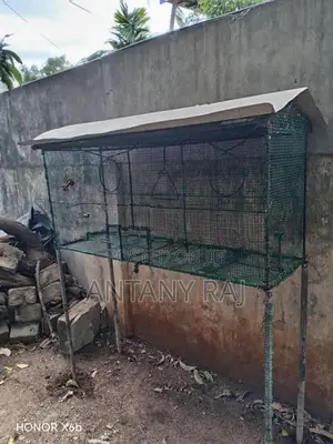 Birds Cage