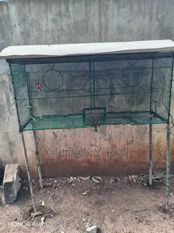 Birds Cage