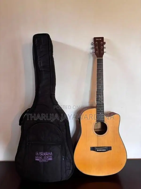 "SQOE" Acoustic Guitar