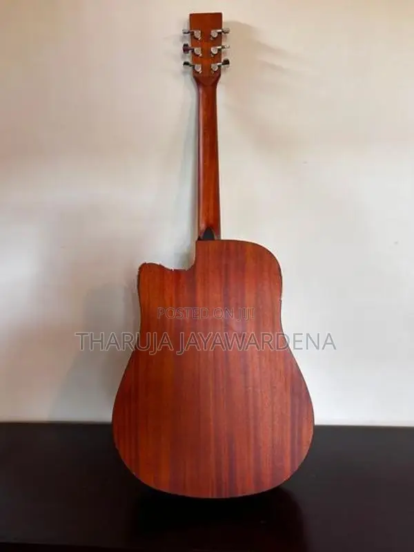 "SQOE" Acoustic Guitar