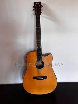 "SQOE" Acoustic Guitar