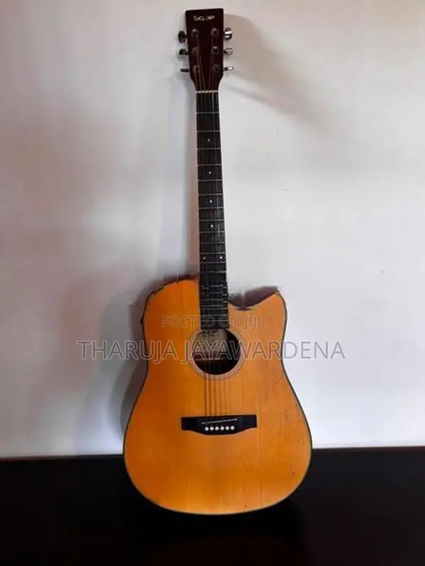 "SQOE" Acoustic Guitar