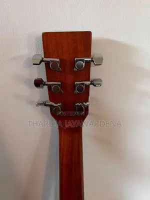 "SQOE" Acoustic Guitar