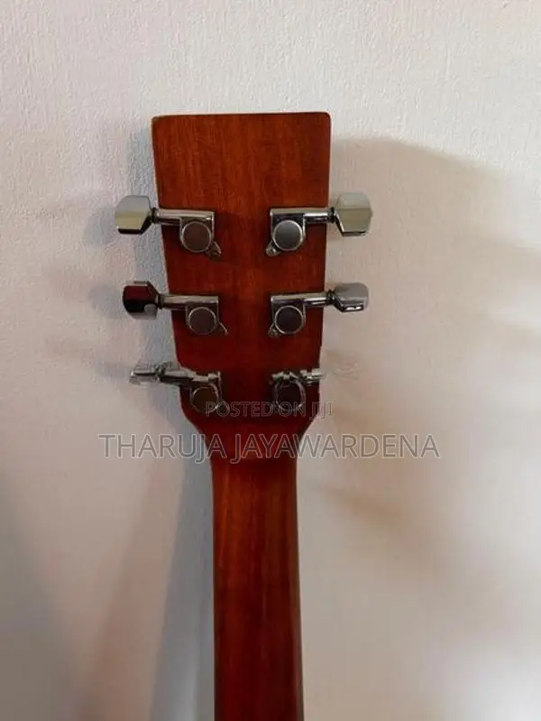 "SQOE" Acoustic Guitar
