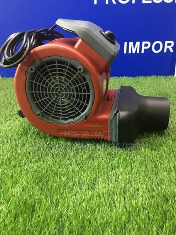 Air Dryer Blower(Flint Brand-FT-C2-100)