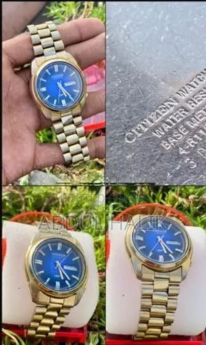 Citizen Automatic Gold Watch