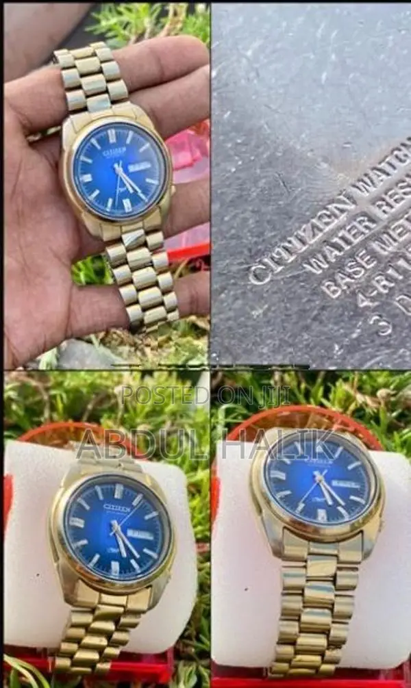 Citizen Automatic Gold Watch
