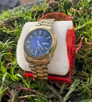 Citizen Automatic Gold Watch
