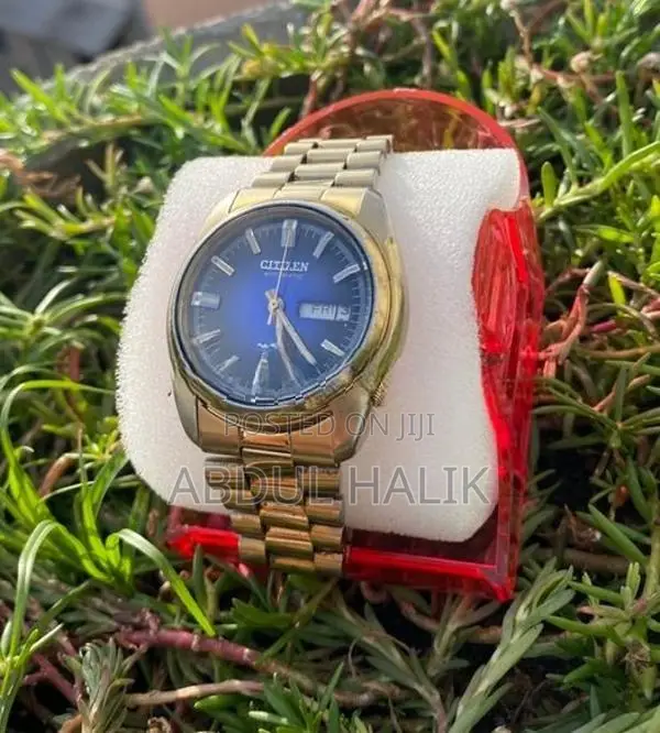 Citizen Automatic Gold Watch
