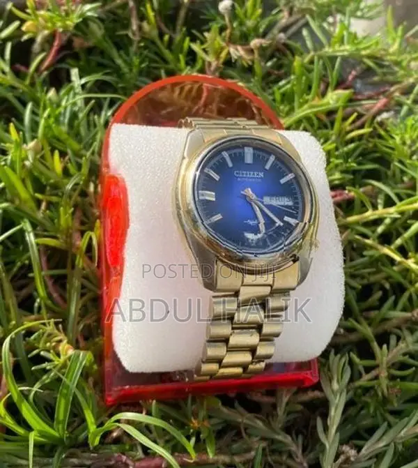 Citizen Automatic Gold Watch
