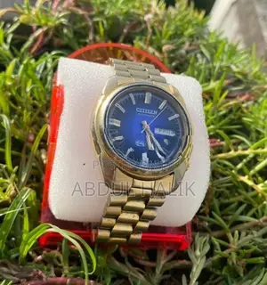 Citizen Automatic Gold Watch
