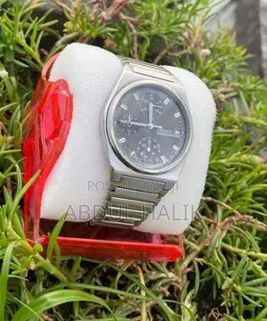 Seiko Watch