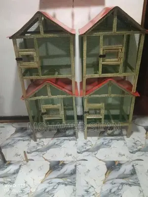 Bird Cage
