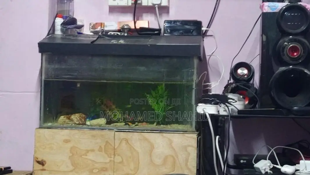 Fish Tank