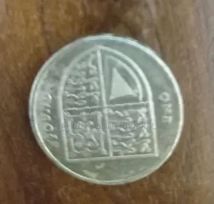 Use Old Coins
