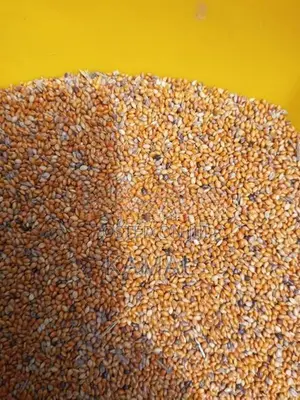 ஊர் திணை