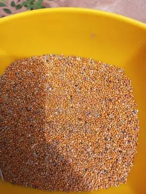 ஊர் திணை