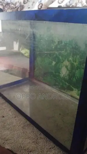 FISH TANK