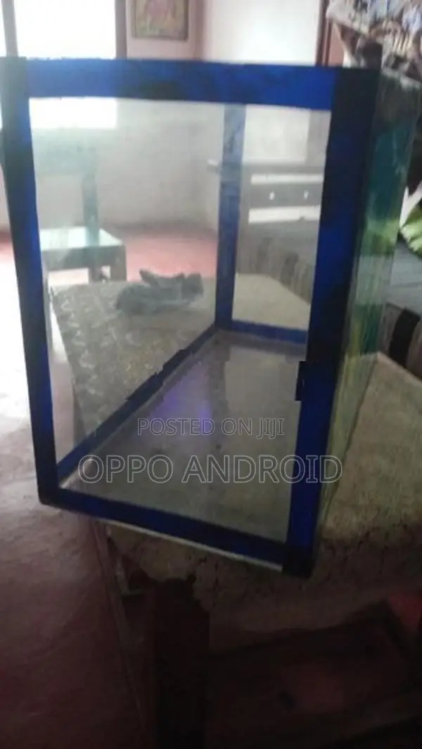 FISH TANK