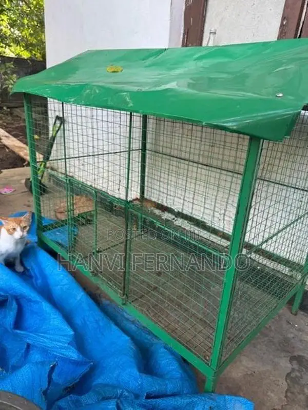 Bird Cage