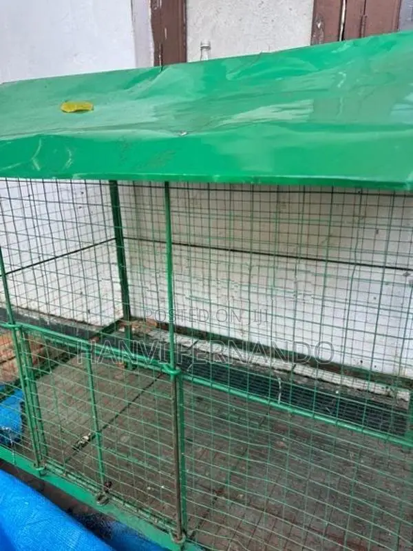 Bird Cage