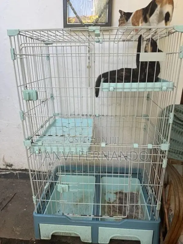 Cat Cage