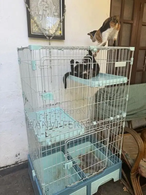 Cat Cage