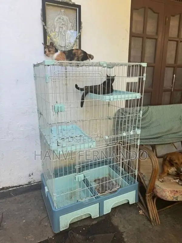 Cat Cage