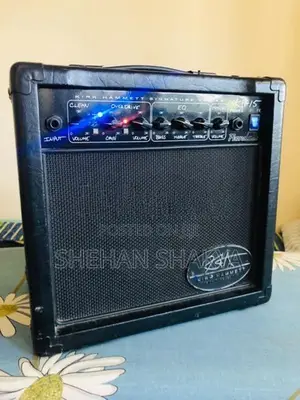The Randall KH-15 Guitar Back Amplifier
