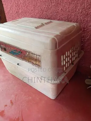 Plastic Dog Cage ..