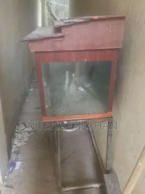 Fish Tank