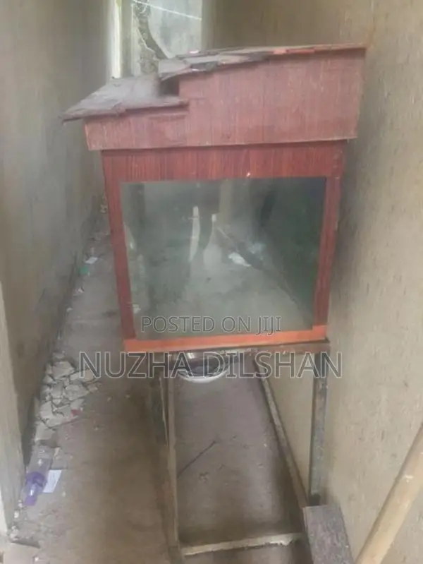 Fish Tank